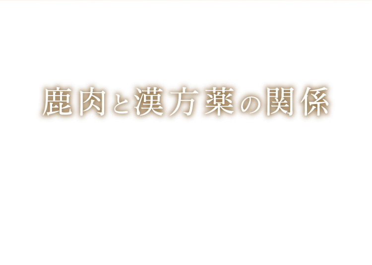 COLUMN 鹿肉と漢方薬の関係