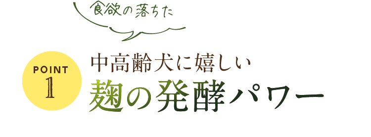 Point1　食欲の落ちた　中高齢犬に嬉しい麹の発酵パワー