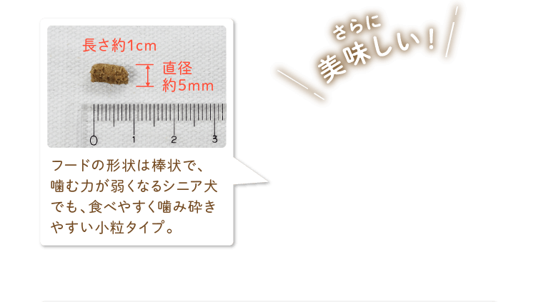 フードの形状は棒状で､噛む力が弱くなるシニア犬でも､食べやすく噛み砕きやすい小粒タイプ｡