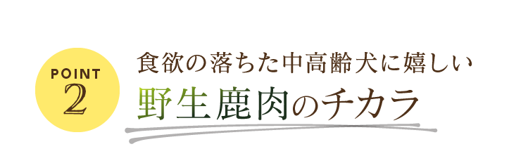 POINT2　食欲の落ちた中高齢犬に嬉しい野生鹿肉のチカラ