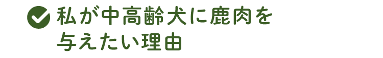 私が中高齢犬に鹿肉を
              与えたい理由