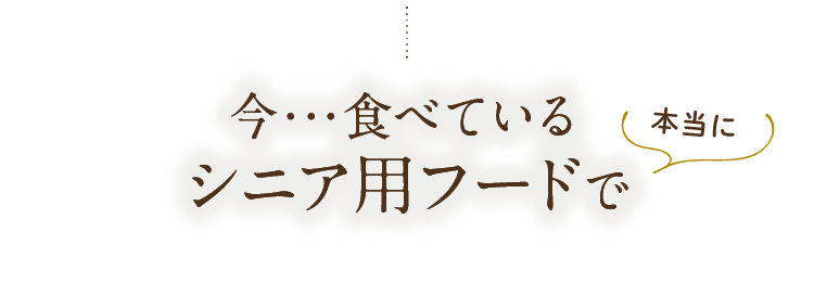 今･･･食べているシニア用フードで大丈夫ですか？