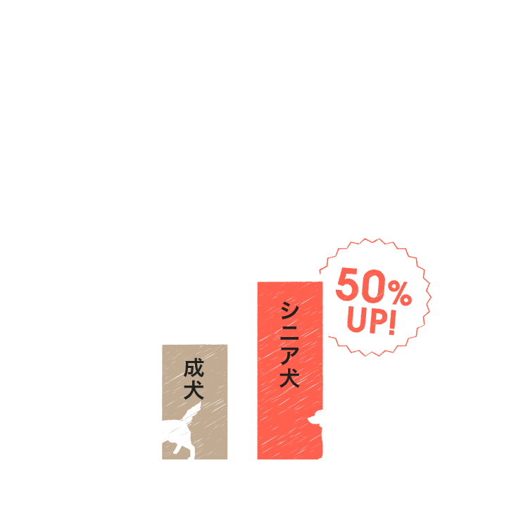 実はシニア犬はタンパク質 要求量が50％も増加する！？