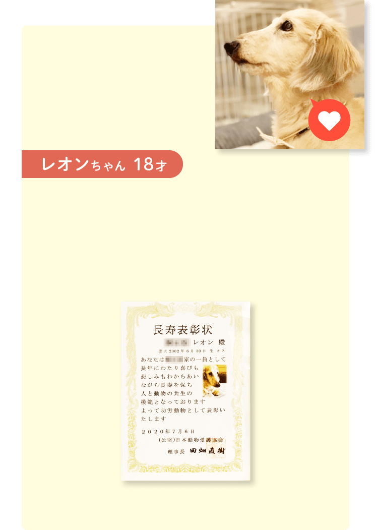 レオンちゃん 18才