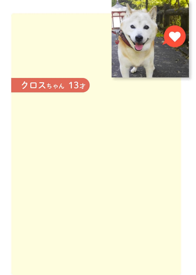 クロスちゃん 13才