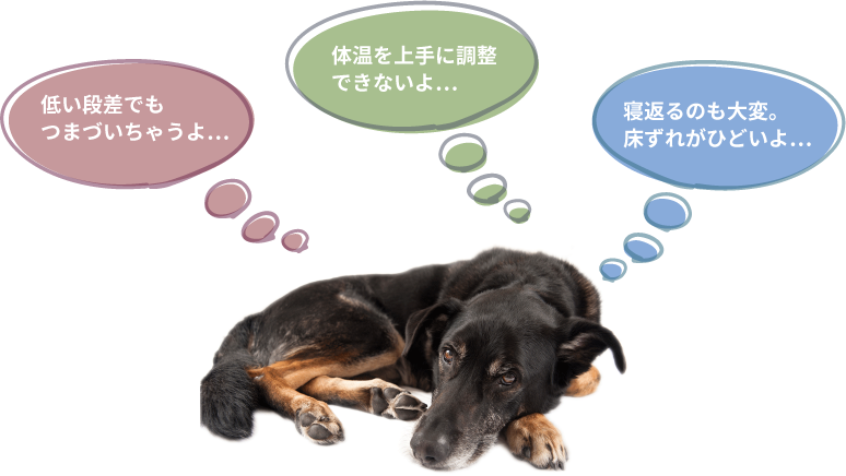 低い段差でもつまづいちゃうよ・・・体温を上手に調整できないよ・・・寝返るのも大変。床ずれがひどいよ・・・