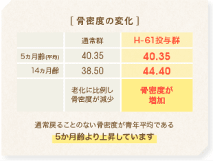 通常戻ることのない骨密度が青年平均である5か月齢より上昇しています