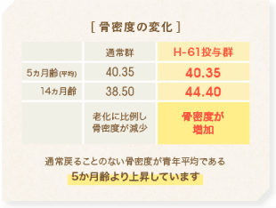 通常戻ることのない骨密度が青年平均である５か月齢より上昇しています