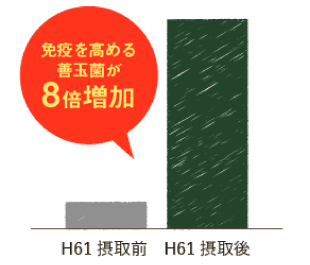 免疫を高める善玉菌が8倍増加