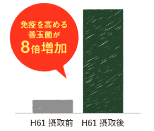 免疫を高める善玉菌が８倍増加