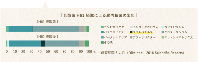 乳酸菌 H61 接種による腸内細菌の変化