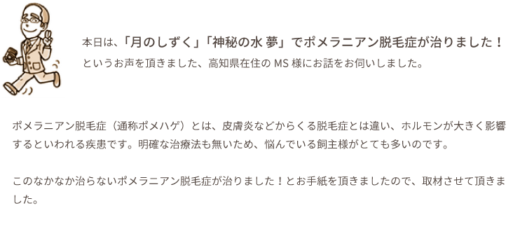 本日は、「月のしずく」「神秘の水 夢」でポメラニアン脱毛症が治りました！というお声を頂きました、高知県在住のMS様にお話をお伺いしました。