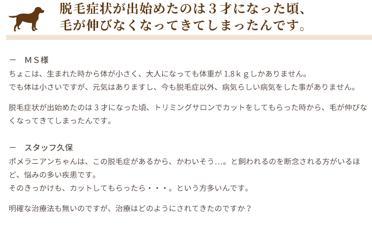 脱毛症状が出始めたのは３才になった頃、毛が伸びなくなってきてしまったんです。