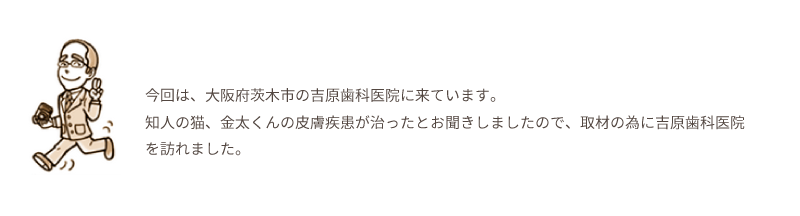 今回は、大阪府茨木市の吉原歯科医院に来ています。知人の猫、金太くんの皮膚疾患が治ったとお聞きしましたので、取材の為に吉原歯科医院を訪れました。