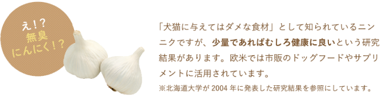 「犬猫に与えてはダメな食材」として知られているニンニクですが、少量であればむしろ健康に良いという研究結果があります。欧米では市販のドッグフードやサプリメントに活用されています。