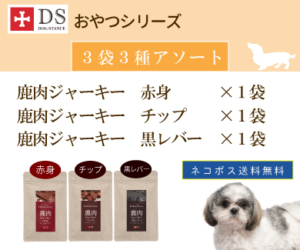 ドッグスタンス,DOGSTANCE