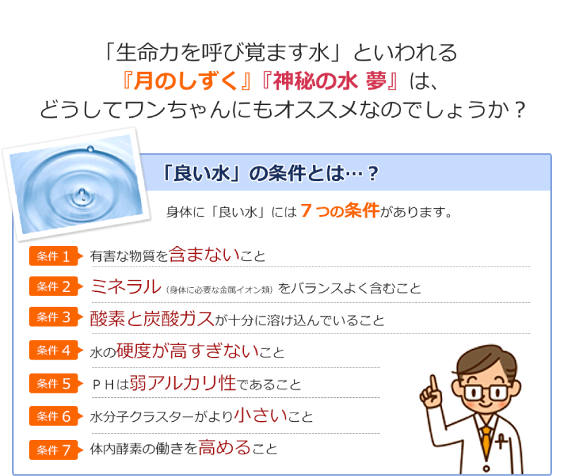 「生命力を呼び覚ます水」といわれる「月のしずく」「神秘の水夢」は、どうしてワンちゃんにもおススメなのでしょうか？