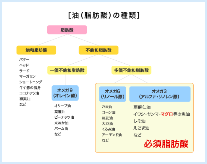 油（脂肪酸）の種類