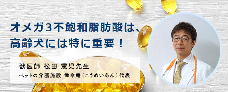 オメガ3不飽和脂肪酸は、高齢犬には特に重要！