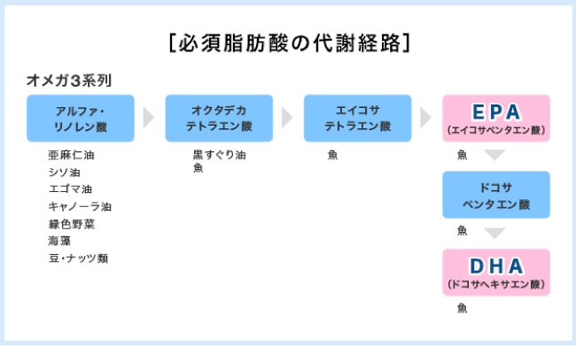 犬 サプリメント｜フードにかけるDHAEPA｜無添加・オメガ３系必須脂肪酸｜安心の国産・無添加ドッグフード通販