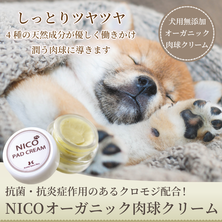 犬 肉球クリーム Nicoオーガニック肉球クリーム 無添加 抗菌 抗炎症 安心の国産 無添加ドッグフード通販