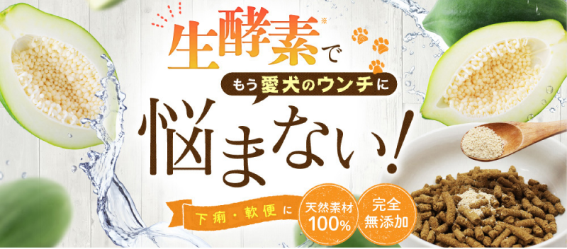 生酵素でもう愛犬のウンチに悩まない！