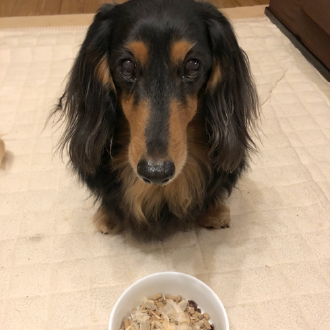 鶏削り節