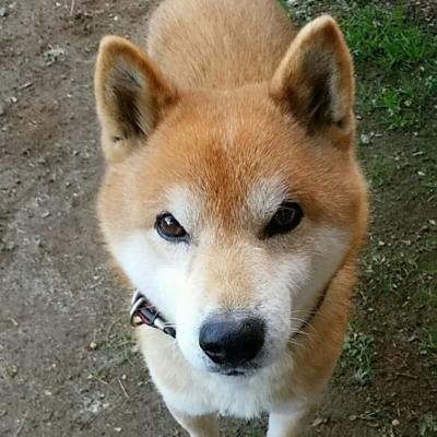 何となく足の震えがなくなったように感じ