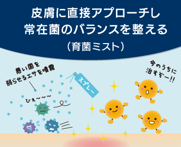 ドッグスタンス Eバイオ 菌画像