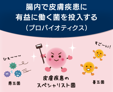 ドッグスタンス パラカゼイ乳酸菌 菌画像