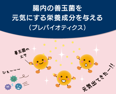 ドッグスタンス ケストース 菌画像