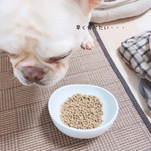 ドッグスタンス　口コミ