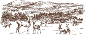 ドッグスタンス,DOGSTANCE