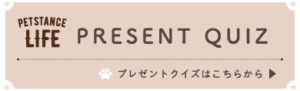 ドッグスタンス,DOGSTANCE
