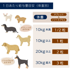 ドッグスタンス,DOGSTANCE