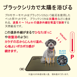 ドッグスタンス,DOGSTANCE