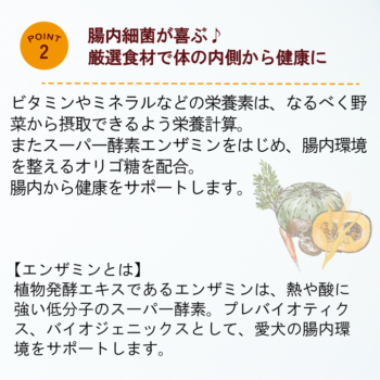 ドッグフード/ウェットタイプ　<br class="sp"> 鶏肉と野菜のペーストフード