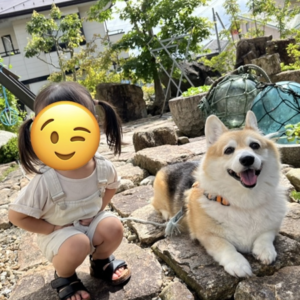 ドッグスタンス,DOGSTANCE